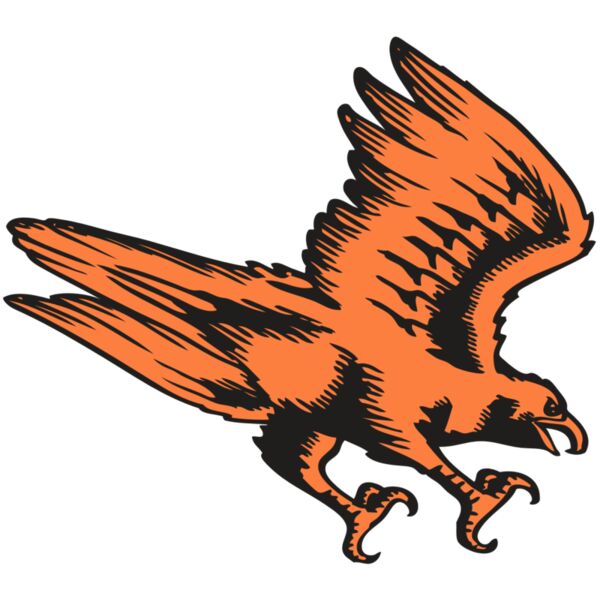 BAW HWK FLCN 04 RC Thumbnail